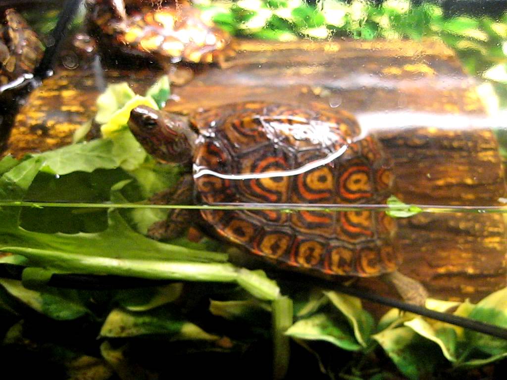 River Tour Costa Rica