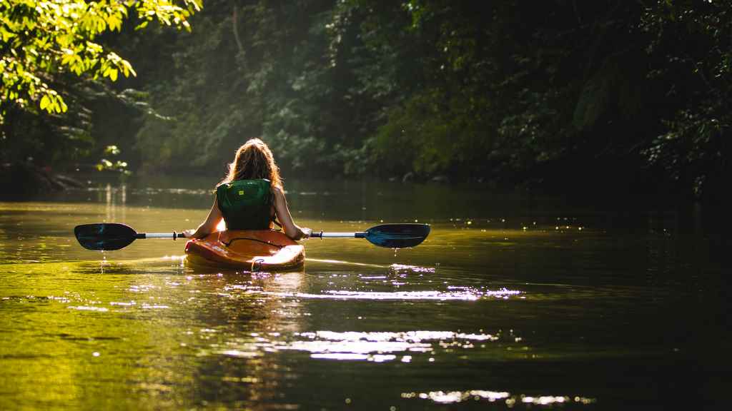 palo verde boat tour